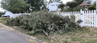 a fallen tree on the side of a white picket